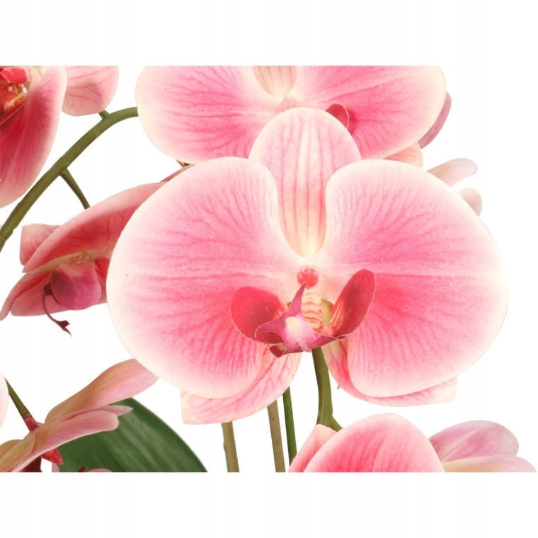 Dirbtinė orchidėja guminė keraminėje vazonėlyje Gėlė orchidėja Premium puošmena