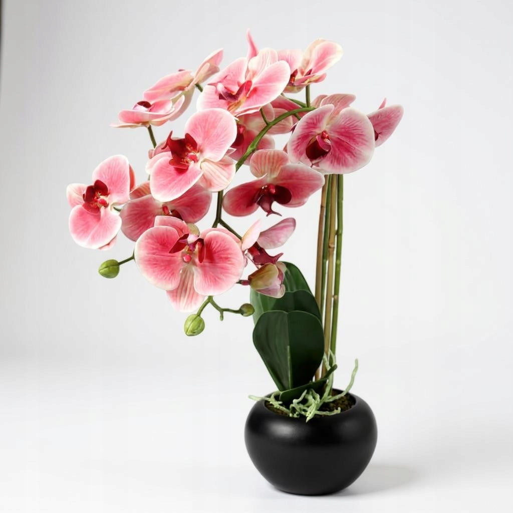 Dirbtinė orchidėja guminė keraminėje vazonėlyje Gėlė orchidėja Premium puošmena