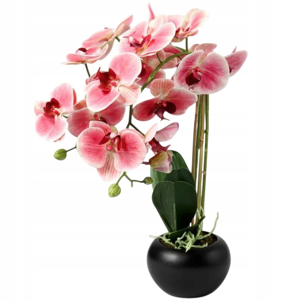Dirbtinė orchidėja guminė keraminėje vazonėlyje Gėlė orchidėja Premium puošmena