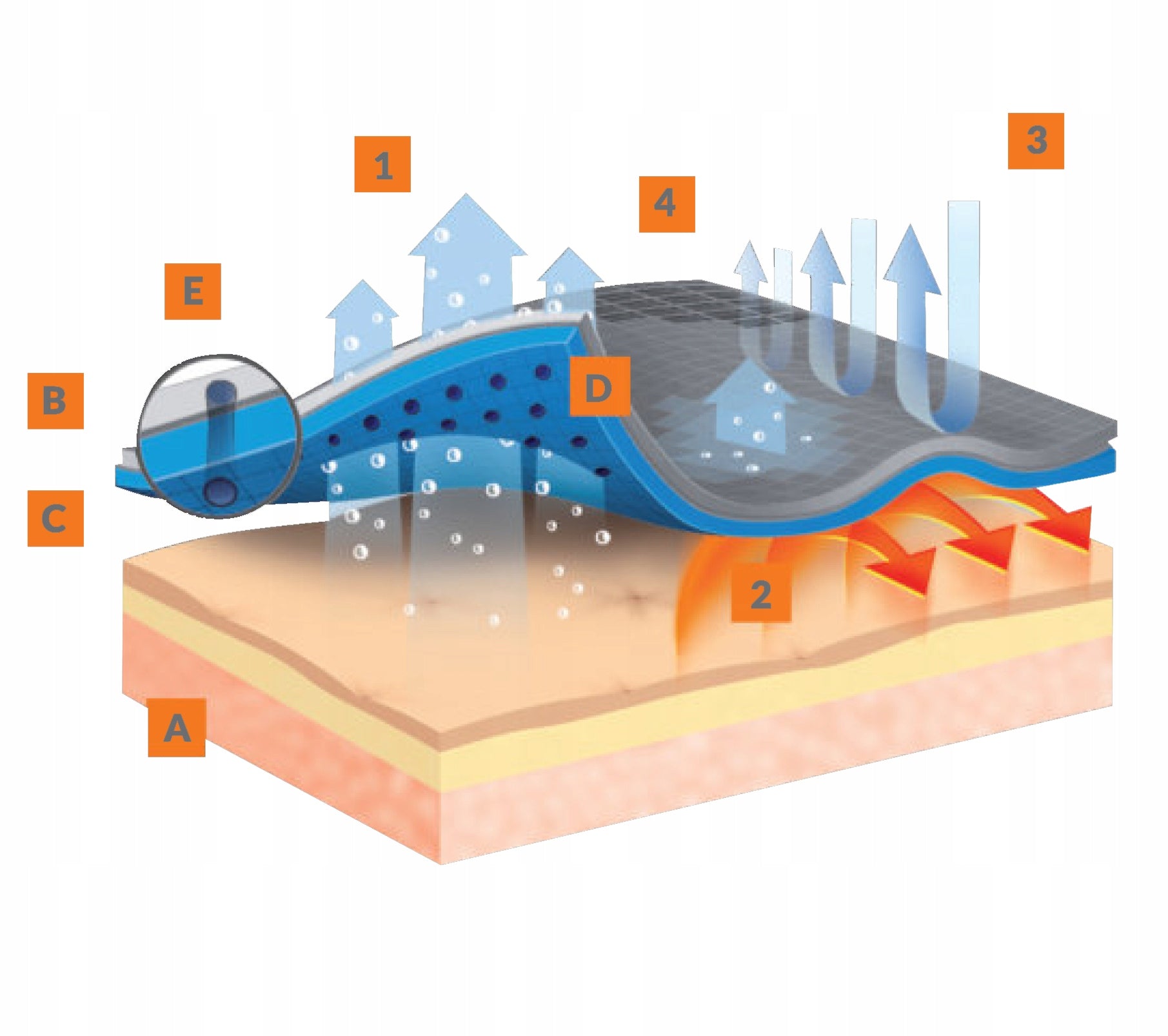 Termoaktyvus vilnos megztinis moterims Brubeck Extreme Wool XL storas drabužis