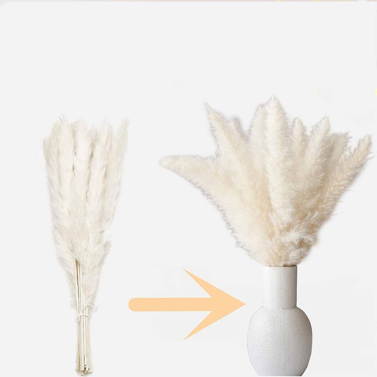 Džiovinta PAMPASŲ žolė dekoratyvinis puokštė vazoje 125 šakelės sausos žolės