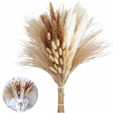 Džiovinta PAMPASŲ žolė dekoratyvinis puokštė vazoje 125 šakelės sausos žolės