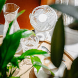 Mini stalo ventiliatorius, akumuliatorinis, su spaustuku, 3 greičių, LED, namams ir sodui