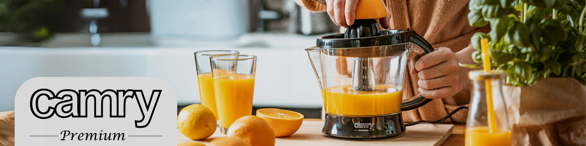 Elektrinė citrusinių vaisių sulčiaspaudė virtuvei, 60W, dvikryptė, 2 kūgiai, 1L talpa