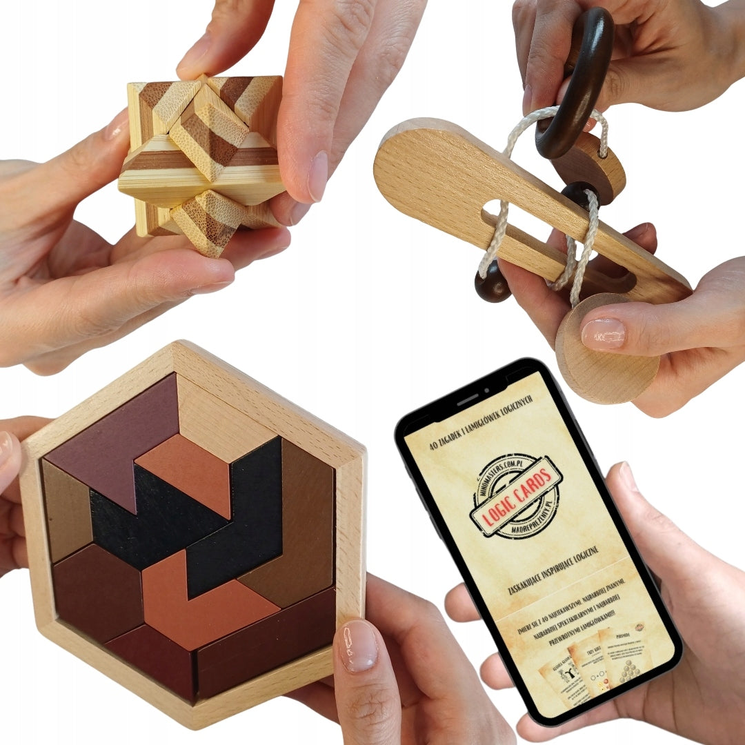 Kalėdinis galvosūkių rinkinys paaugliui suaugusiems dovanų LOGIC SET