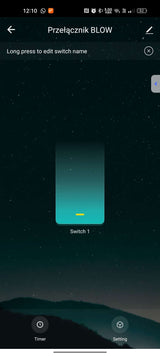 2x WiFi ŠVIESOS RELĖS JUNGIKLIS MINI SMART TUYA ATSARGINIS MODULE