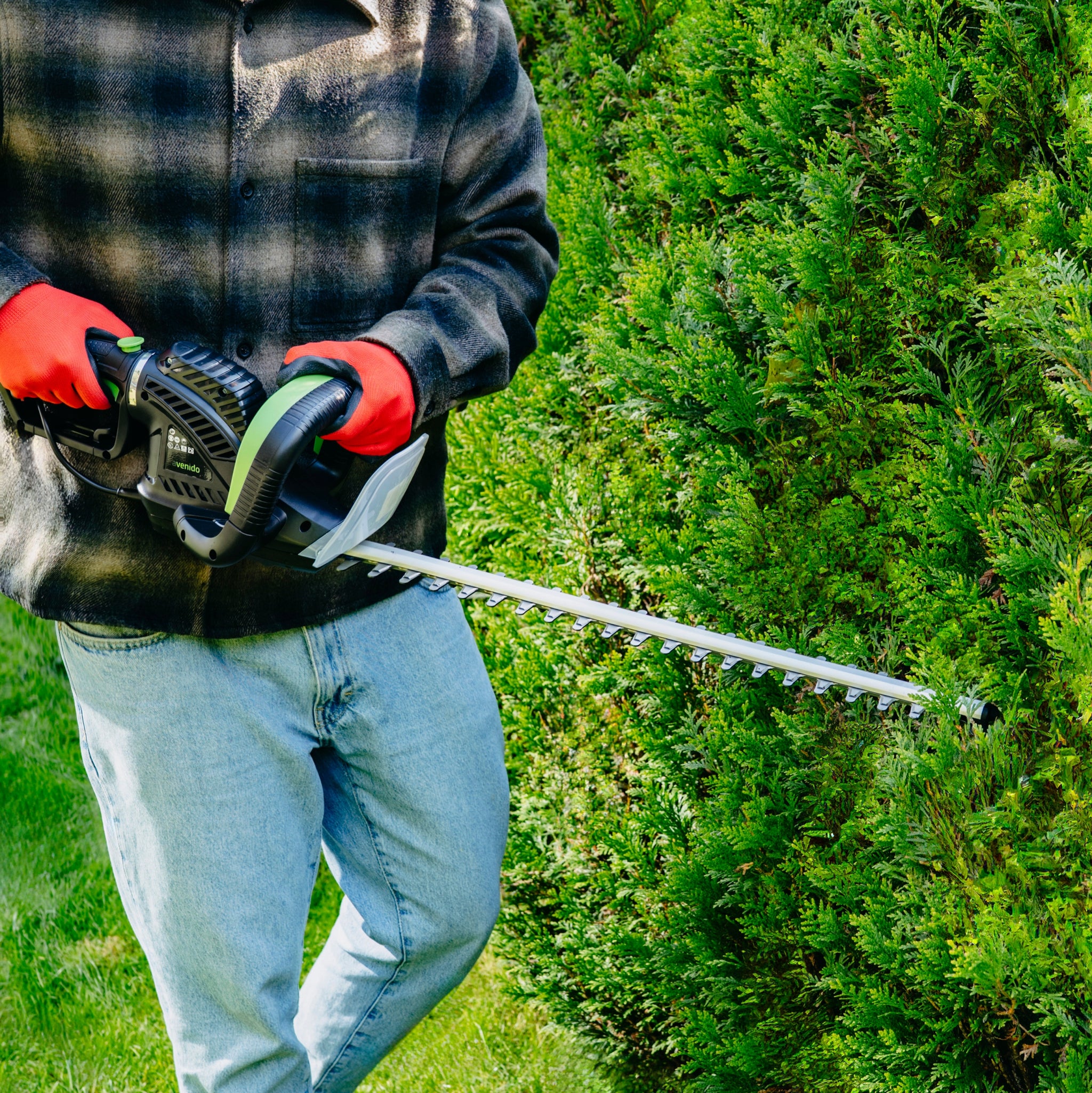 Elektrinės gyvatvorių žirklės 61 cm krūmų genėjimui AVENIDO