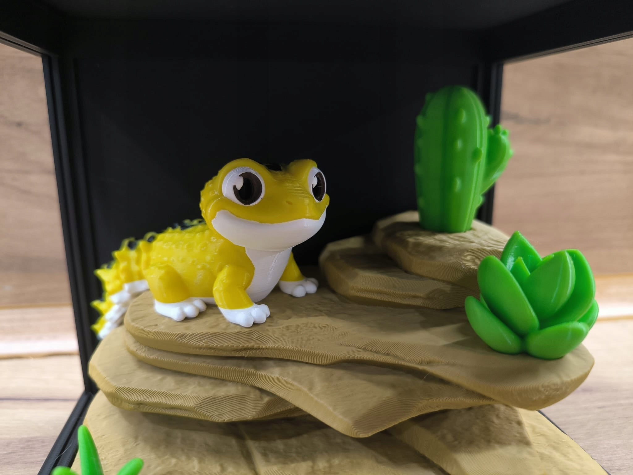 TERRARIUM 3D su GEKONO Dekoratyvinis edukacinis rinkinys su judančiomis dalimis GEKON