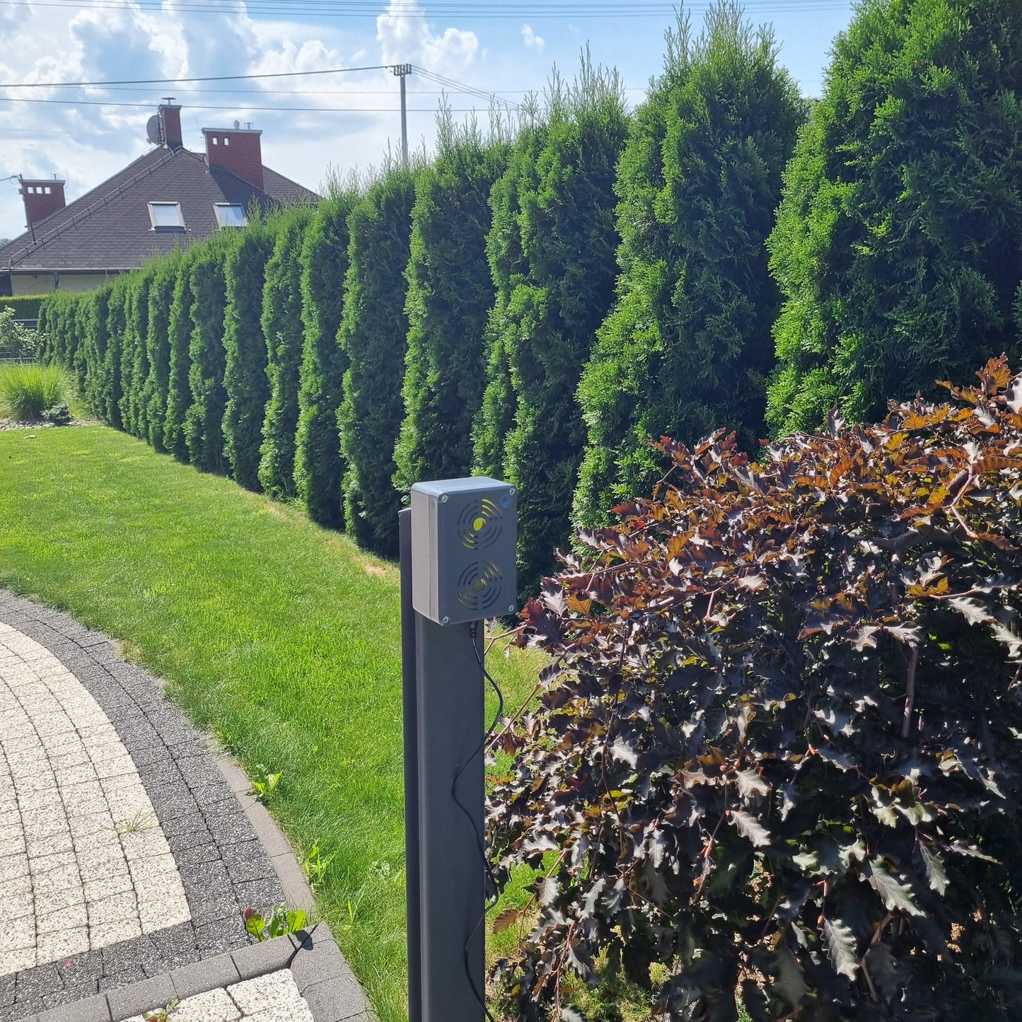 KIŠENŲ, PEĻU, ŽIURKIŲ ATSPARUS VANDENIUI PRIETAISAS 230V