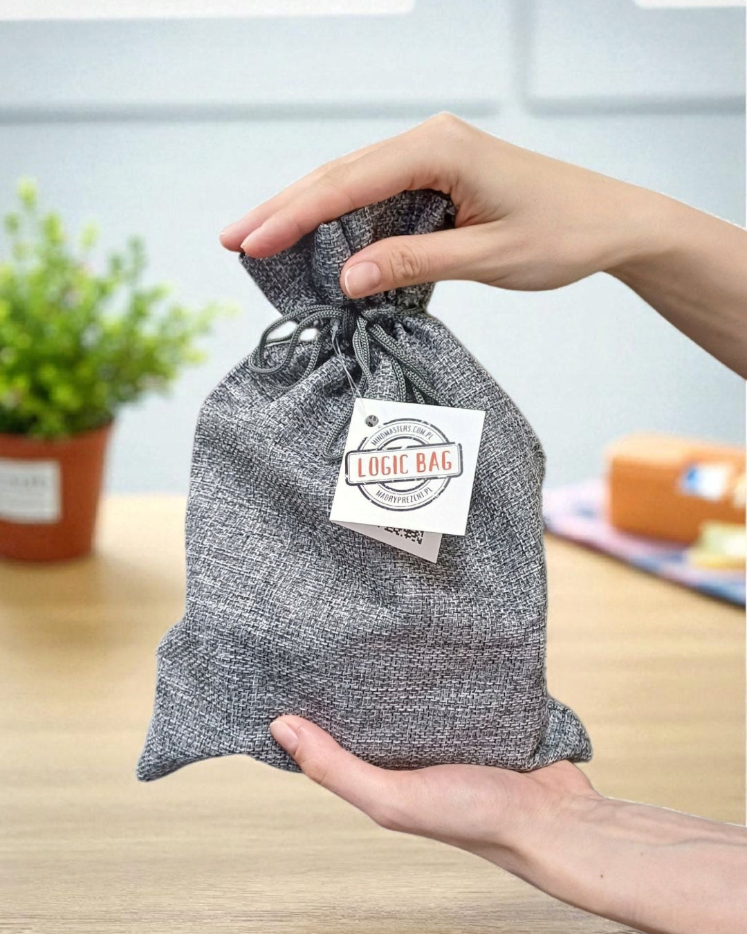 Dėlionė dovana paaugliui, tėčiui, broliui, Kalėdos LOGIC BAG xmas_hit_offers